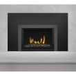 Napoleon Gas Direct Vent Fireplace Insert - GDIG3 Small Charcoal