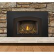 Napoleon Gas Direct Vent Fireplace Insert - GDIX3