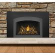 Napoleon Gas Direct Vent Fireplace Insert - GDIX3 Charcoal Arch