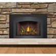Napoleon Gas Direct Vent Fireplace Insert - GDIX3 Charcoal Arch Red