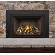 Napoleon Gas Direct Vent Fireplace Insert - GDIX4