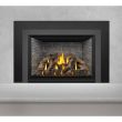 Napoleon Gas Direct Vent Fireplace Insert - GDIX4 - Charcoal 
