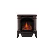 Napoleon Gas Stove - GDS25 Bayfield