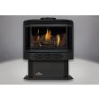 Napoleon GDS28 Gas Direct Vent Stove - GDS28 - Black