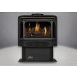Napoleon GDS28 Gas Direct Vent Stove - GDS28 - Gold