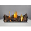 Napoleon GDS28 Gas Direct Vent Stove - GDS28 - Logs