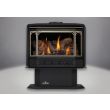 Napoleon GDS50 Gas Direct Vent Stove - GDS50 - Gold