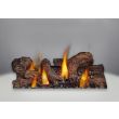 Napoleon GDS50 Gas Direct Vent Stove - GDS50 - Logs