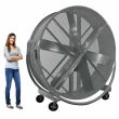 Triangle Fans 84” Gentle Breeze Series Portable Fan 1 HP 230V 1 Phase 1 Speed
