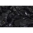 GL-BLACK