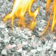Napoleon Ascent See Through Gas Fireplace - BHD4