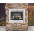 Napoleon Riverside 36-Inch Outdoor Gas Fireplace- GSS36CFN