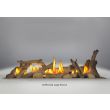 Napoleon Galaxy Outdoor See Through Gas Fireplace- GSS48ST
