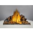 Napoleon Ascent X 36 Gas Direct Vent Fireplace - GX36
