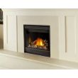 Napoleon Ascent X 36 Gas Direct Vent Fireplace - GX36