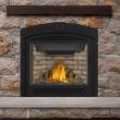 Napoleon Ascent X 36 Gas Direct Vent Fireplace - GX36