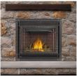 Napoleon Ascent X 36 Gas Direct Vent Fireplace - GX36