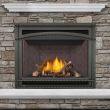 Napoleon Ascent GX42 Gas Direct Vent Fireplace - GX42