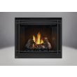 Napoleon HD40 Gas Direct Vent Fireplace - HD40 Black Trim Front