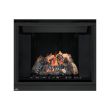 Napoleon HD40 Gas Direct Vent Fireplace - HD40 Silver Trim 