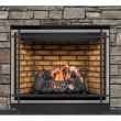 Napoleon HD40 Gas Direct Vent Fireplace - HD40 Silver Trim 