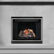 Napoleon HD40 Gas Direct Vent Fireplace - HD40 Silver Trim 