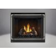 Napoleon HD40 Gas Direct Vent Fireplace - HD40 Silver Trim 