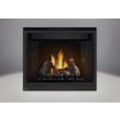 Napoleon HD40 Gas Direct Vent Fireplace - HD40