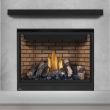 Napoleon HD46 Gas Direct Vent Fireplace - HD46