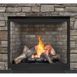 Napoleon HD40X Gas Direct Vent Fireplace - HDX40