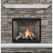 Napoleon HD40X Gas Direct Vent Fireplace - HDX40