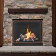 Napoleon HD40X Gas Direct Vent Fireplace - HDX40