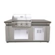 American Outdoor Grills 30 Inch T Series Gas Grill Island