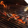 Lion Charcoal Tray For 32 And 40-Inch Lion Gas Grills
