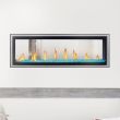 Napoleon Vector 50" See Through Direct Vent Gas Fireplace - LV50-2