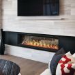 Napoleon Vector 62" See Through Direct Vent Gas Fireplace - LV62-2