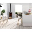 Nectre N65 Contemporary Wood Burning Stove -  N65