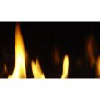 Napoleon Ascent 36 Gas Direct Vent Fireplace - B36NTR