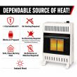 Buck Stove 10,000 BTU Natural Gas Vent-free space heater with heat panels, displayed alongside icons highlighting features like propane use, no electricity, and no venting under the banner