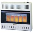 ProCom 5 Plaque Infrared Natural Gas Space Heater