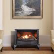 ProCom Vent Free 25K BTU Free Standing Gas Stove Fireplace