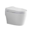ACiQ Smart Toilet, One-Piece with Bidet, Auto Flush, Heated Seat - ACIQ-ST-WH