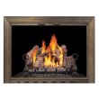 Design Specialties Glass Fireplace Door -  Savannah 