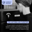 Austin Air HealthMate Standard Unit - Black B400B1