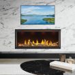 Napoleon Vector 62" Tall Linear Direct Vent Gas Fireplace - TLV62