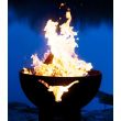 Fire Pit Art Wood Fire Pit- Long Horn