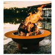 Fire Pit Art Wood Fire Pit- Saturn