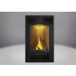 Napoleon Vittoria Gas Direct Vent Fireplace - GD19