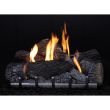 Empire Outdoor 36-Inch Stainless Steel Electronic Ignition Fireplace With Logs - OP36FB2MF / OLX24WR / ONI24
