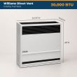 Williams 3003822 30,000 BTU Gravity Furnace, Natural Gas, Direct Vent designed for efficient heating in homes, garages, and workshops